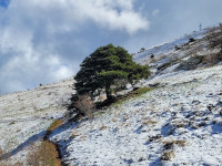 De la neige lors de la reconnaissance